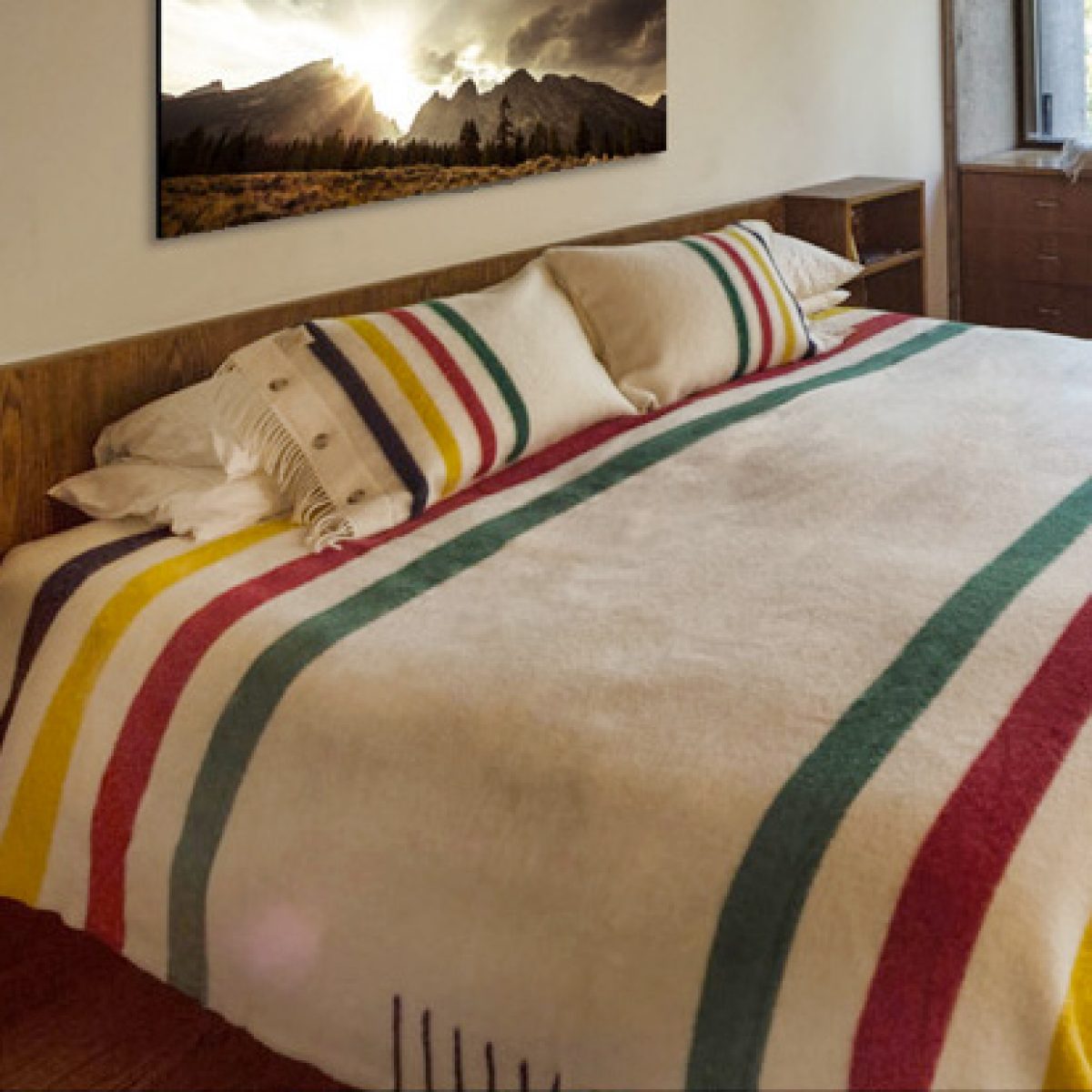 Hudson's Bay Points Blanket