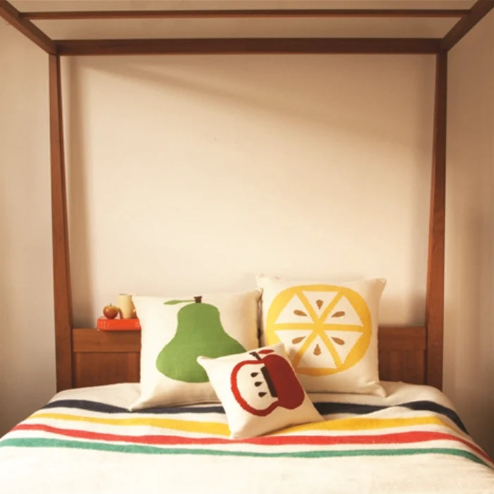 Hudson's Bay Points Blanket